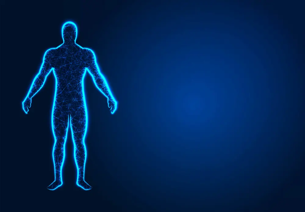 FUNCIONAMIENTO DEL CUERPO HUMANO: DESCUBRE SU MAGIA