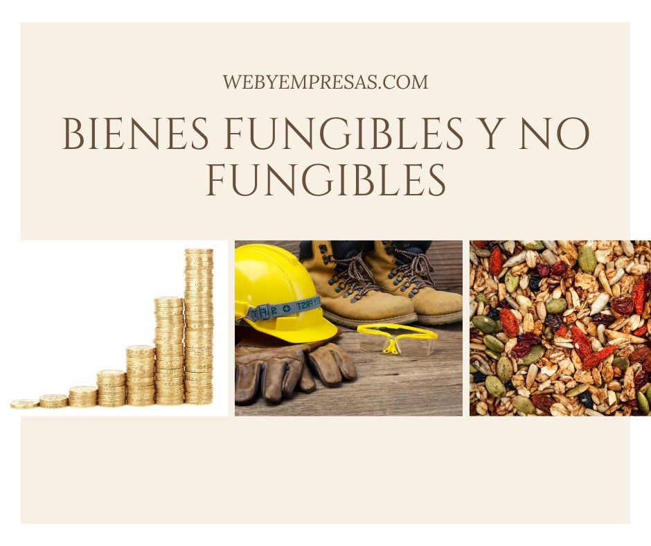 FUNGIBILIDAD: SIGNIFICADO y TODO lo que DEBES SABER