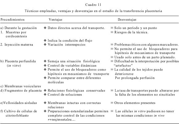 GESTACIÓN: Definición, Concepto y Beneficios Clave