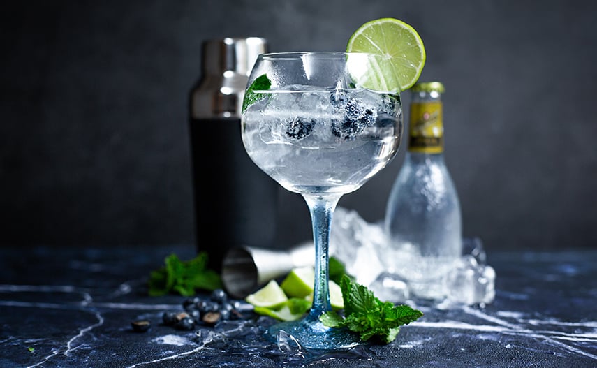 GIN: Descubre su DEFINICIÓN y la interesante HISTORIA