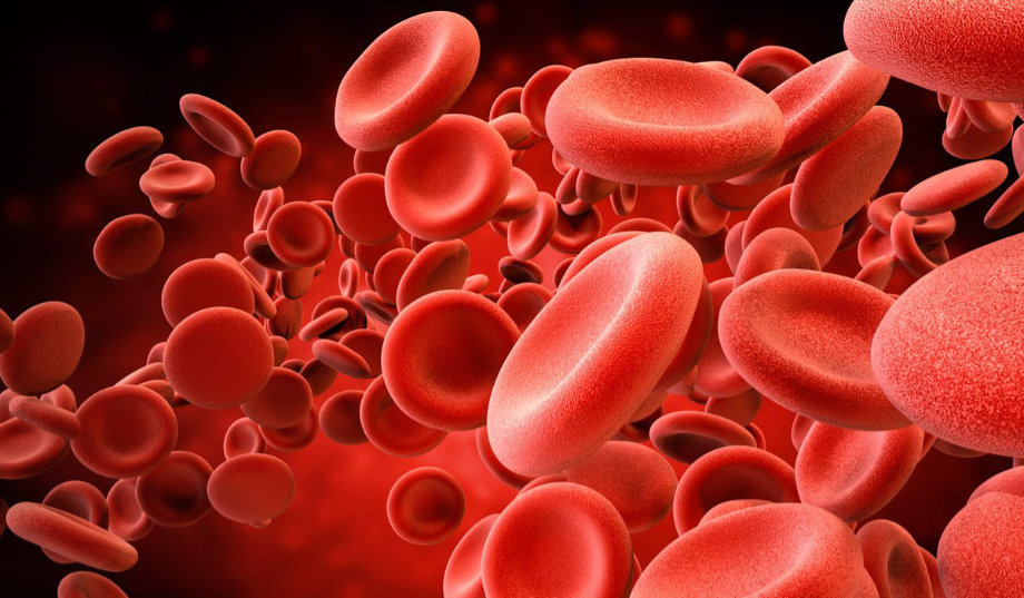 GLOBULOS ROJOS: Qué son y su IMPORTANCIA EN LA SALUD