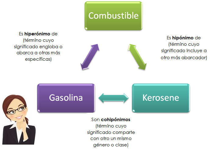 GORDOS: Sinónimos y Conceptos ESENCIALES que Debes Conocer