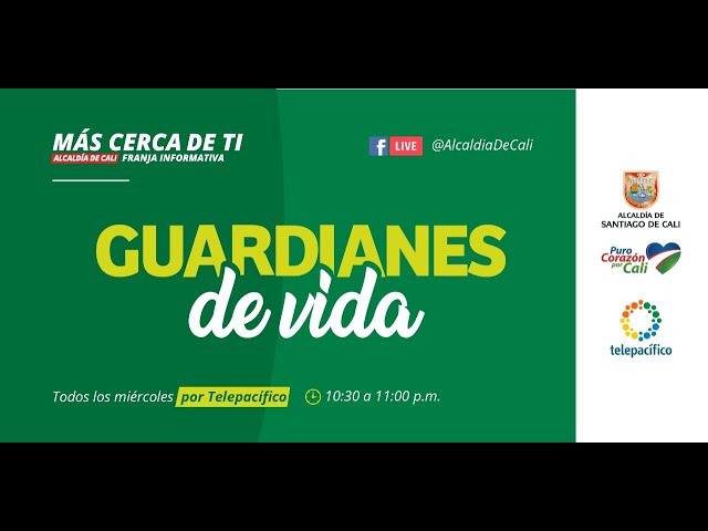 GUARDIÁN: DEFINICIÓN, EJEMPLOS y SIGNIFICADO CLAVE
