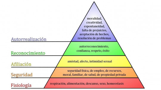 HABILIDADES y CAPACIDADES para SATISFACER NECESIDADES