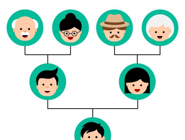 Has descubierto ya el valor familiar que tiene tu árbol genealógico