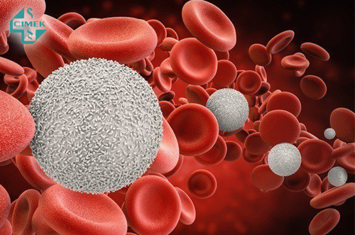 HEMOGRAMA: Qué es y por qué es tan IMPORTANTE para la salud