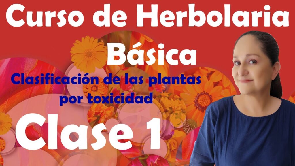 HERBOLARIA: DESCUBRE SU SIGNIFICADO Y VALOR TRADICIONAL