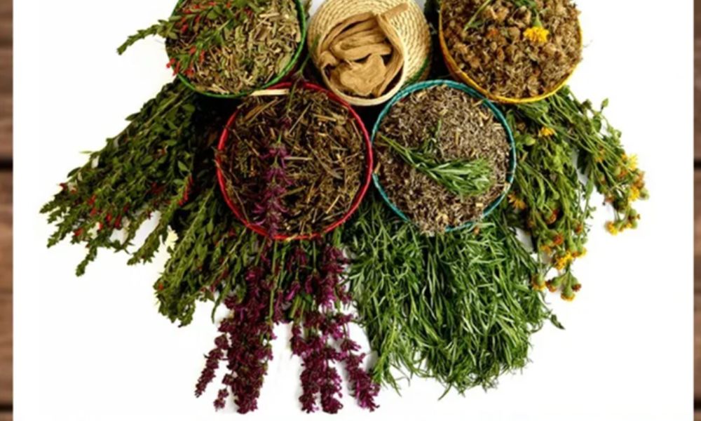 HERBOLARIA MEXICANA: SECRETOS PARA TU SALUD NATURAL