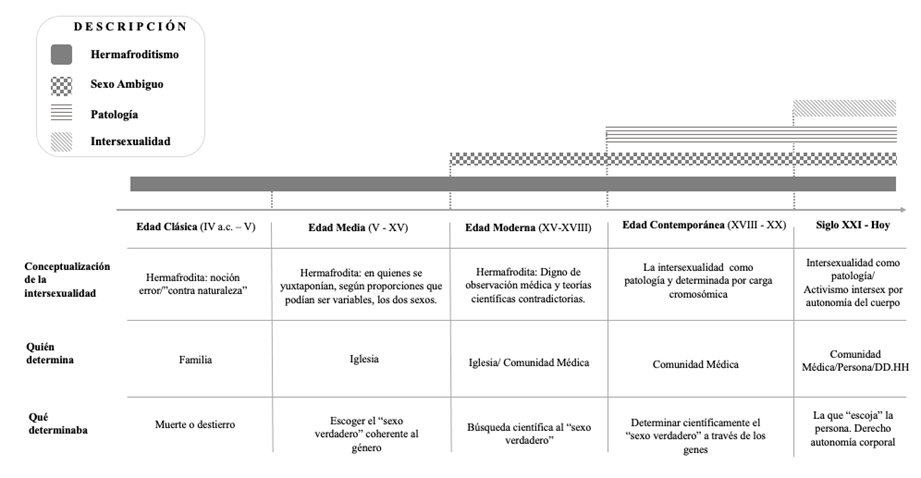 HETERONORMATIVIDAD: Definición e Historia Reveladora