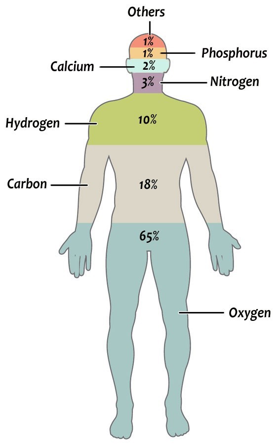HIDRÓGENO: Elementos QUÍMICOS Esenciales en el Cuerpo