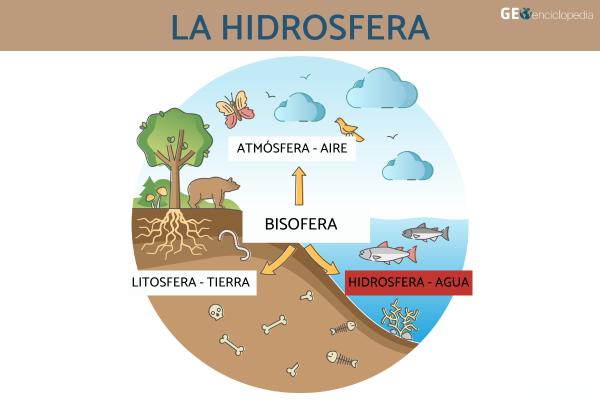 HIDROSFERA: COMPOSICIÓN y CARACTERÍSTICAS Esenciales
