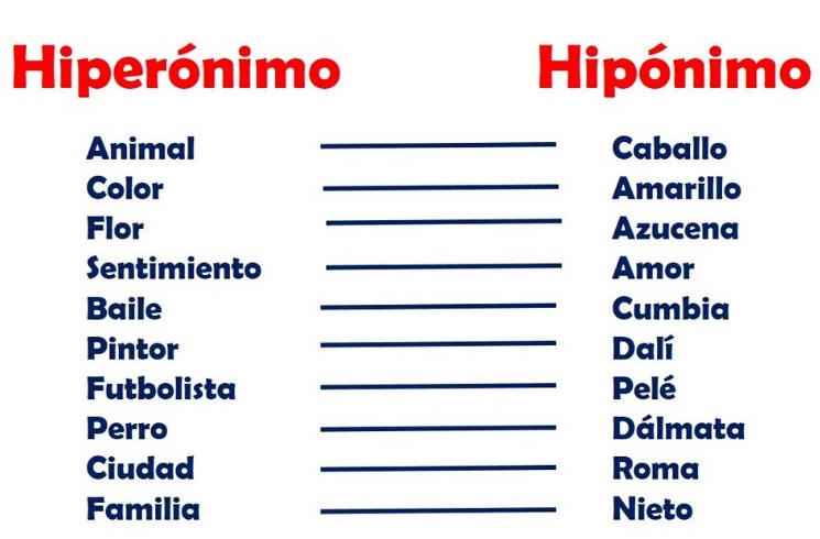 HIPONIMIA e HIPERONIMIA: 50 Ejemplos CLAROS y SENCILLOS