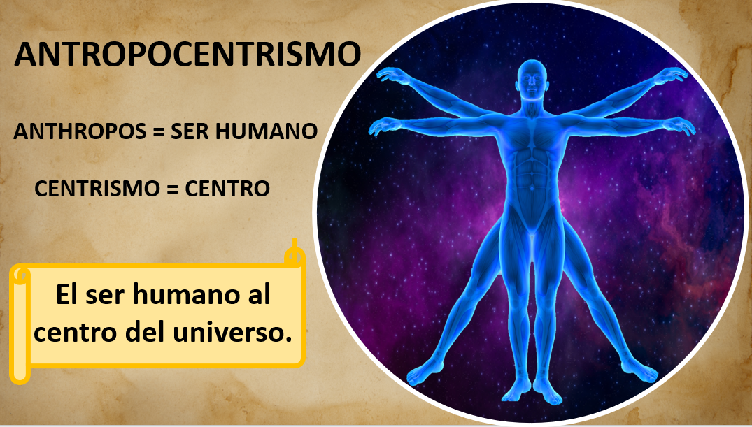 HOMBRE DEL RENACIMIENTO: Reflexiones sobre el Humanismo