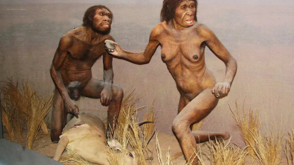 HOMOERECTUS: CARACTERÍSTICAS y EVOLUCIÓN REVELADAS