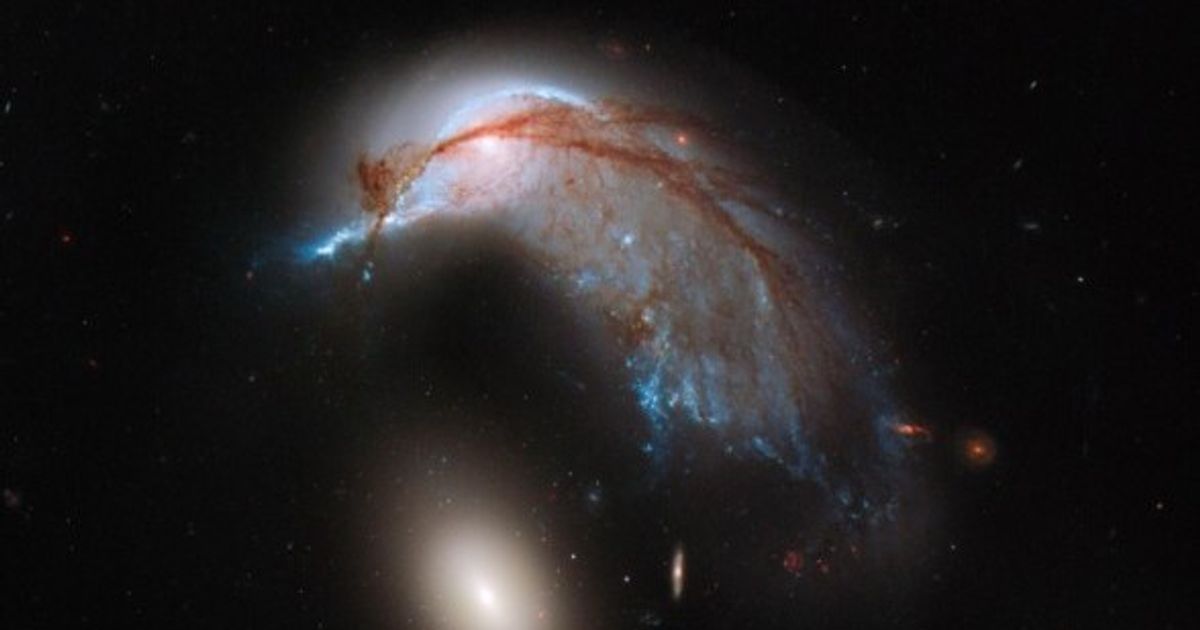 HUBBLE: DESCUBRE su MAGIA y CARACTERÍSTICAS ÚNICAS