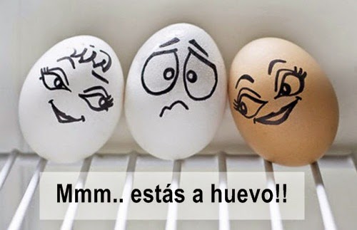 HUEVO: Significado, Definición y Curiosidades Inesperadas