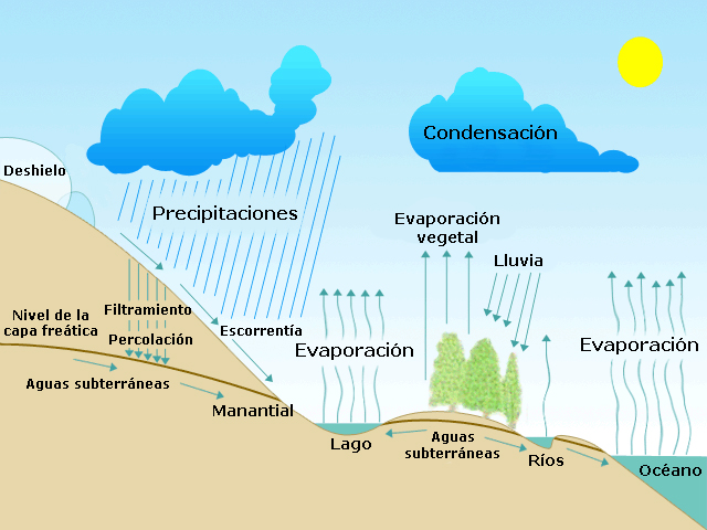 HUMEDAD: Definición, TIPOS y su IMPACTO en el CLIMA