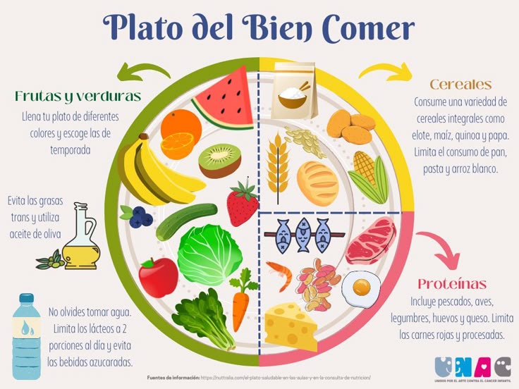 IMAGEN DEL PLATO DEL BIEN COMER: ¡Descubre sus VERDURAS!