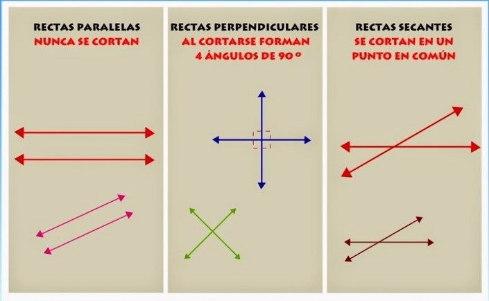 IMÁGENES de LÍNEAS PARALLELAS y PERPENDICULARES ¡Descubre!