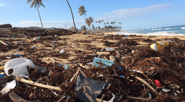 IMPACTO AMBIENTAL: TIPOS, CAUSAS y EJEMPLOS RELEVANTES