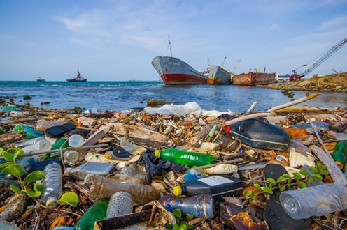 IMPACTO de los SERES VIVOS en la NATURALEZA – Descúbrelo