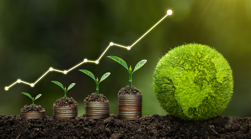 Importancia DE LA ACTIVIDAD ECONÓMICA Y SU IMPACTO AMBIENTAL
