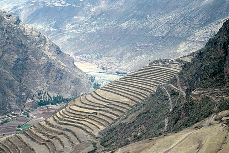 INFORMACIÓN CLAVE: Qué SEMBRARON y ANIMALES de los INCAS