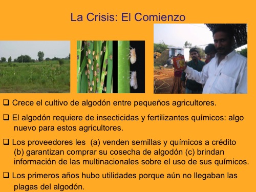 INSECTICIDAS: HISTORIA, DEFINICIÓN y CONCEPTO CLAVE