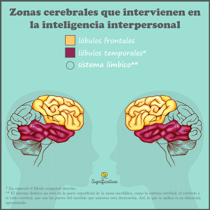 INTELIGENCIA INTERPERSONAL: CARACTERÍSTICAS Y EJEMPLOS