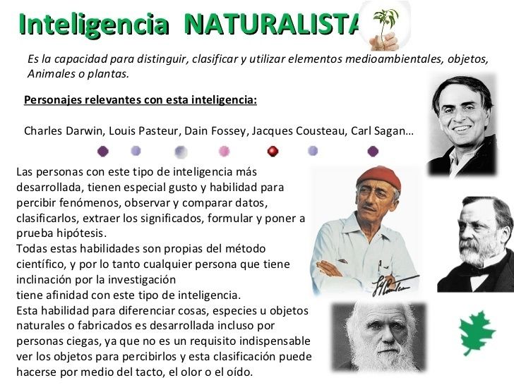 INTELIGENCIA NATURALISTA: CARACTERÍSTICAS y EJEMPLOS Sabías