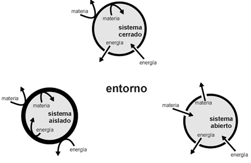 INTERCAMBIO DE ENERGÍA en REACCIONES QUÍMICAS: ¡Descúbrelo!
