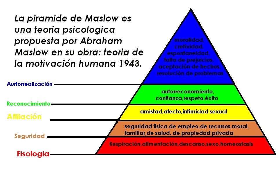 JEAN PIAGET: TEORÍA y CONCEPTOS Esenciales que Sorprenden