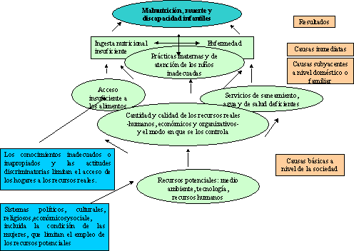 La DESNUTRICIÓN: Causas, Síntomas y Prevención Clave