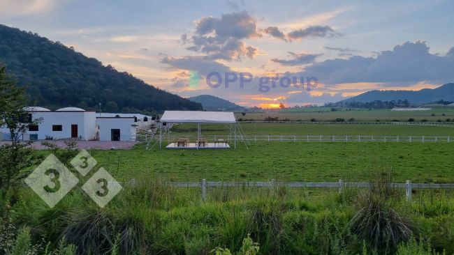 LAS HACIENDAS: CRECIMIENTO Y CONFLICTOS RURALES Impactantes