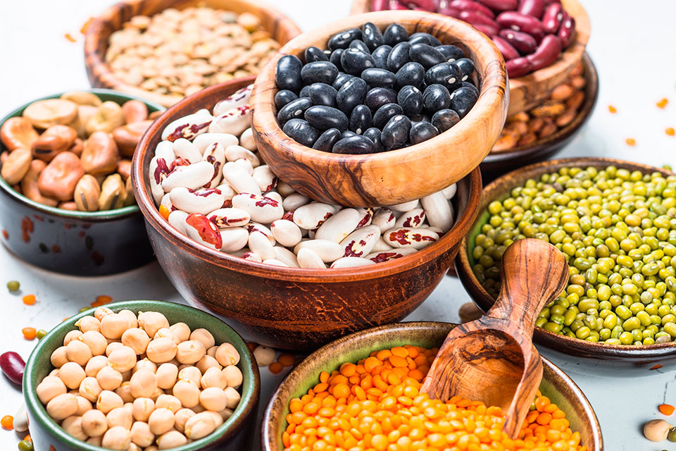 LEGUMINOSAS y ALIMENTOS de ORIGEN ANIMAL: ¡Descúbrelos!