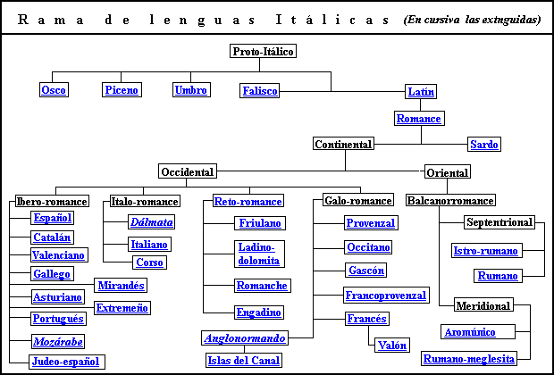 LENGUAS ROMANCES: Características y Tipos Esenciales