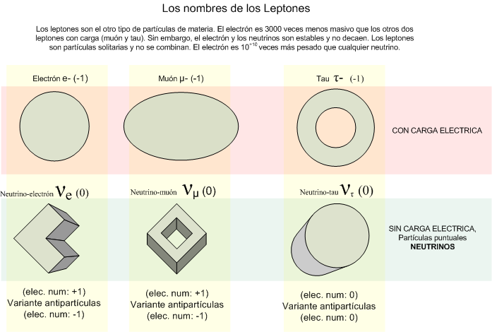 LEPTONES: DEFINICIÓN, CLASIFICACIÓN Y CURIOSIDADES