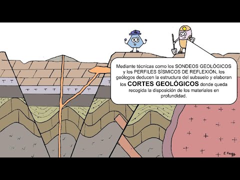 LITOLOGÍA: Tipos y Conceptos Esenciales ¡Descubre Más!