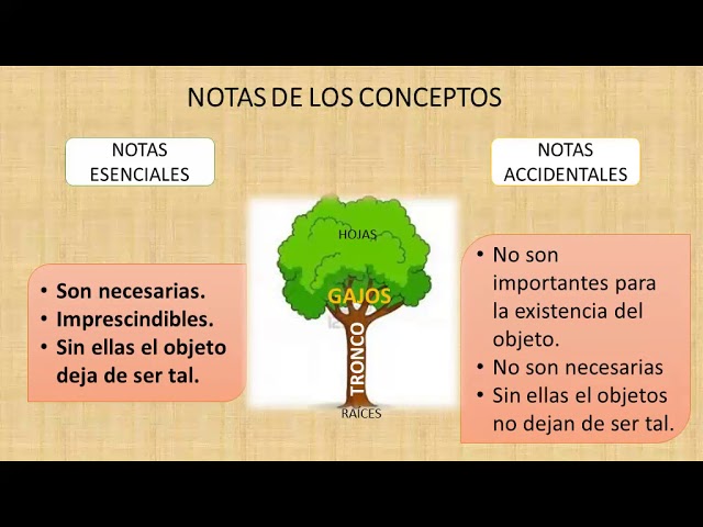 LÓGICA: DEFICIÓN, TIPOS y EJEMPLOS IMPRESCINDIBLES