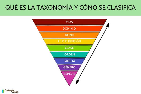 LOS 5 REINOS DE LA NATURALEZA: ¡DESCÚBRELAS AHORA!