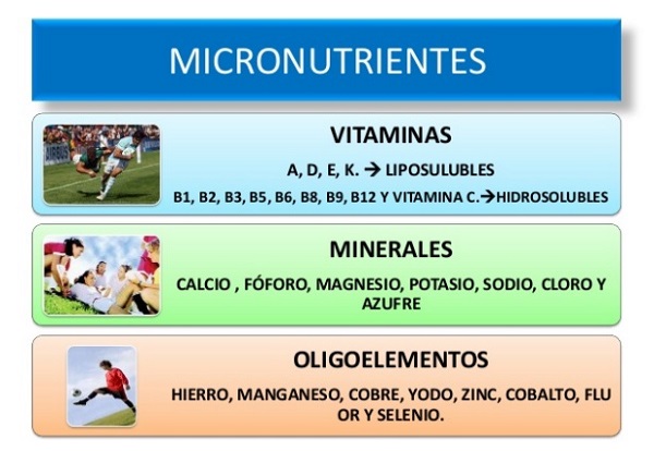 MACRONUTRIENTES y MICRONUTRIENTES: 25 Ejemplos IMPACTANTES