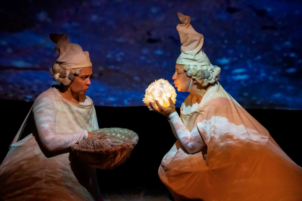 MANIFESTACIONES TEATRALES: DESCUBRE NUEVAS POSIBILIDADES