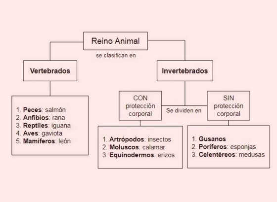 Mapa Conceptual y Mapa Mental: ¡Descubre sus DIFERENCIAS!