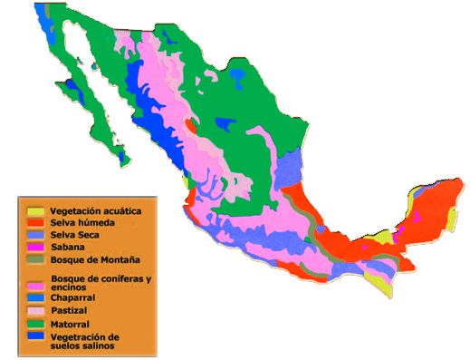 Mapa de REGIONES NATURALES de MÉXICO: ¡Descúbrelas!