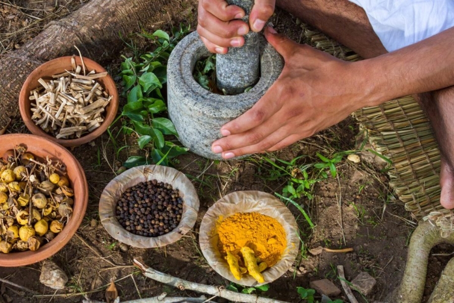 MEDICINA TRADICIONAL MEXICANA: ¡Descubre su Sabiduría!