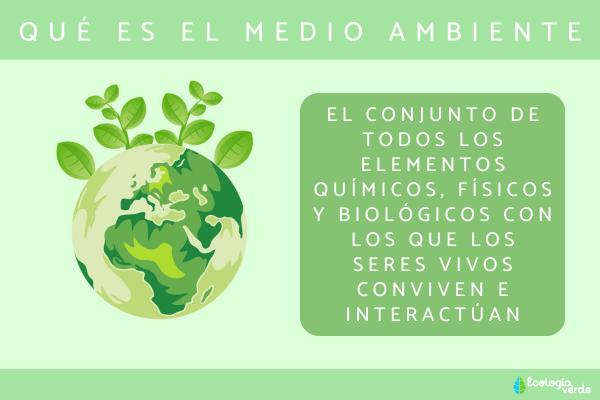 MEDIO AMBIENTE: IMPORTANCIA Y CARACTERÍSTICAS CLAVES