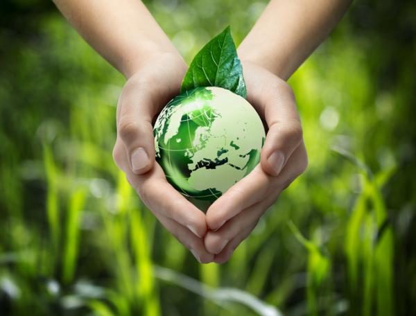 MEGADIVERSOS: Descubre los PAÍSES con RIQUEZA BIOLÓGICA