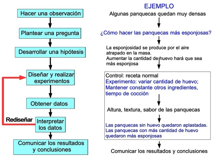 MÉTODO CIENTÍFICO: PASOS, CARACTERÍSTICAS Y EJEMPLOS