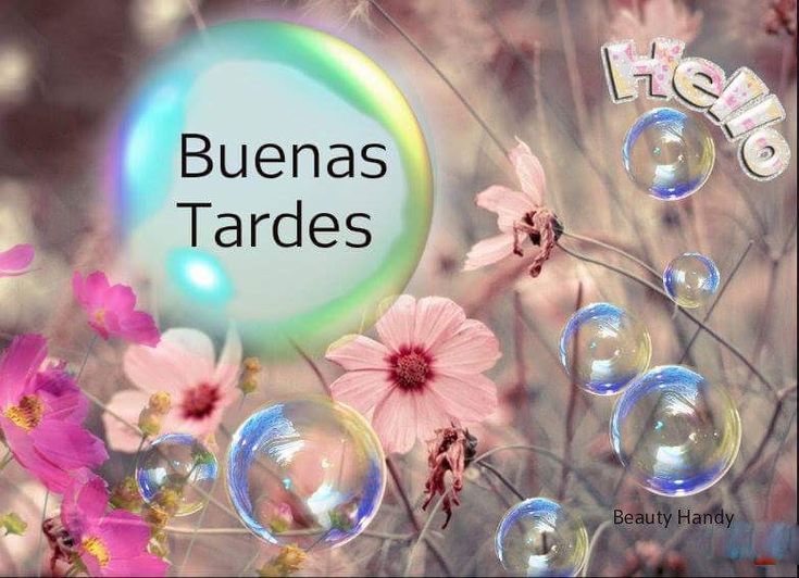 MI CANCIONERO: Coloridas IMÁGENES y FLORES para Ti