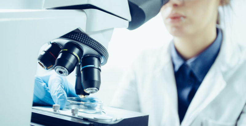 MICROBIOLOGÍA: CONCEPTO, CLASIFICACIÓN e IMPORTANCIA
